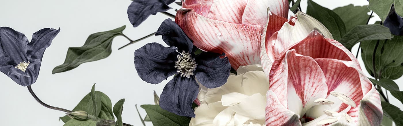 アロマ(エッセンシャルオイル)の魅力と使い方